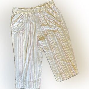 Westbound Island Stripe Crop Pull On Mid Rise Wide Leg pant Size 3x